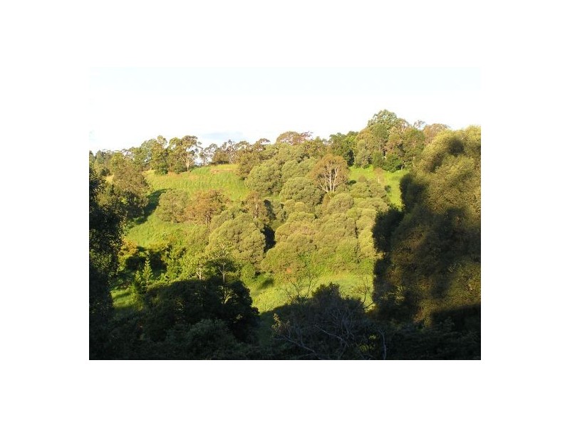 678 Kenilworth Skyring Creek Rd, Cooroy QLD 4563