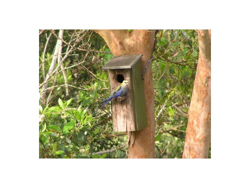 678 Kenilworth Skyring Creek Rd, Cooroy QLD 4563