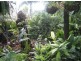 2140 Palmerston Hwy, East Palmerston QLD 4860