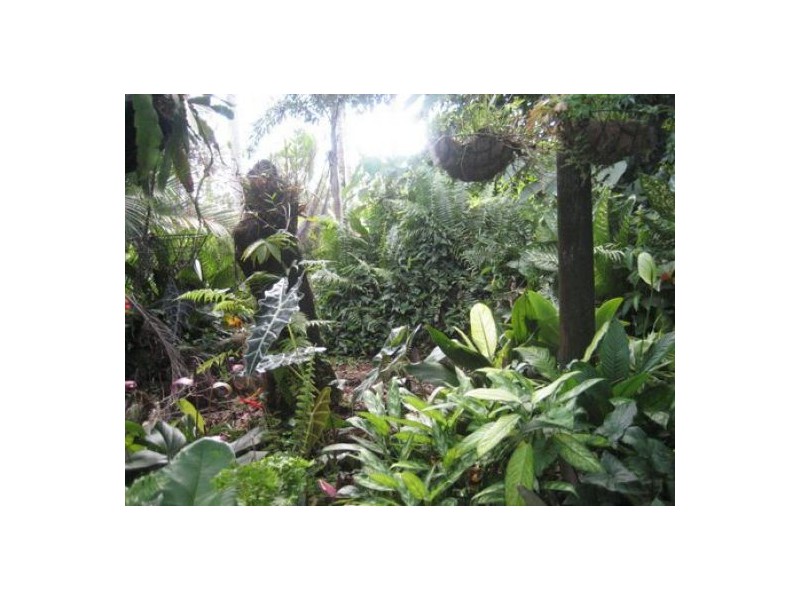 2140 Palmerston Hwy, East Palmerston QLD 4860