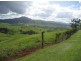 2140 Palmerston Hwy, East Palmerston QLD 4860
