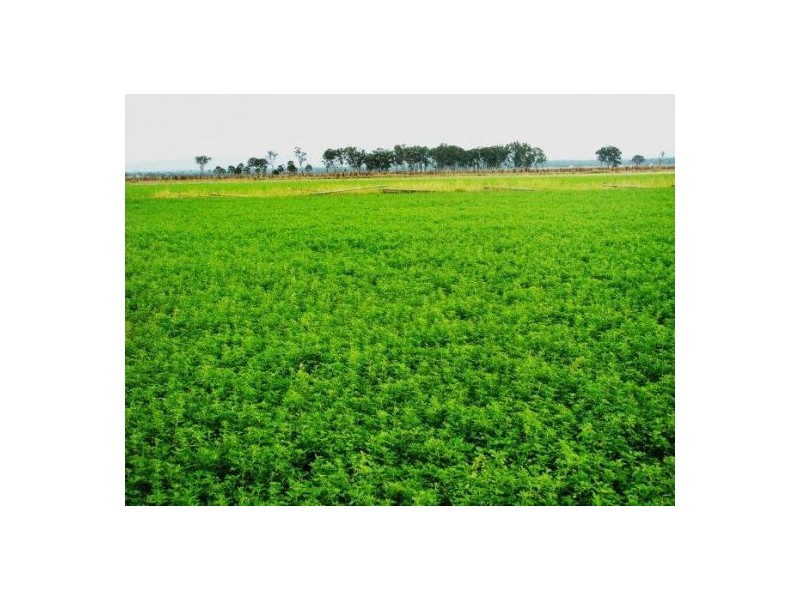 167 Forest Hill Fernvale Rd Lynford, Gatton QLD 4343