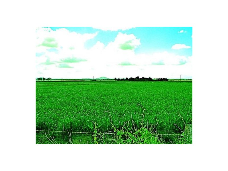 167 Forest Hill Fernvale Rd Lynford, Gatton QLD 4343