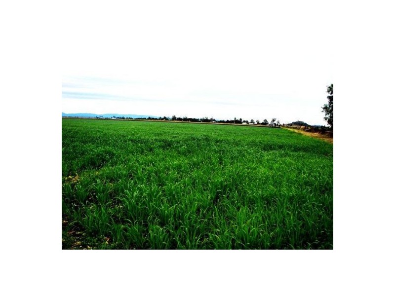 167 Forest Hill Fernvale Rd Lynford, Gatton QLD 4343