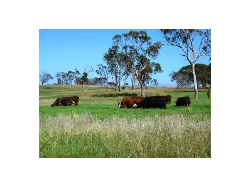 136 Dixon Ln, Greenmount East QLD 4359