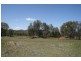 Lot 111 Borah Road, Manilla NSW 2346