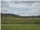 30 Back Limbri Road, Kootingal NSW 2352