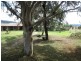 30 Back Limbri Road, Kootingal NSW 2352