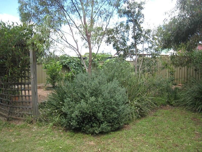 30 Oak Street, Tamworth NSW 2340