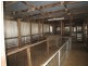 “Kendell” 333 Garoo Road, Garoo NSW 2340
