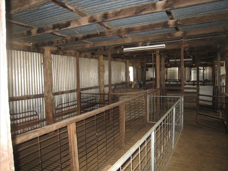 “Kendell” 333 Garoo Road, Garoo NSW 2340