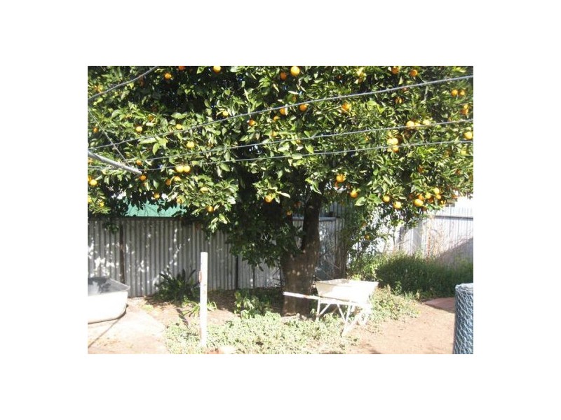 5 Single Street, Werris Creek NSW 2341