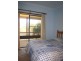 97 Woolomin Gap Road, Woolomin NSW 2340