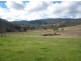 97 Woolomin Gap Road, Woolomin NSW 2340