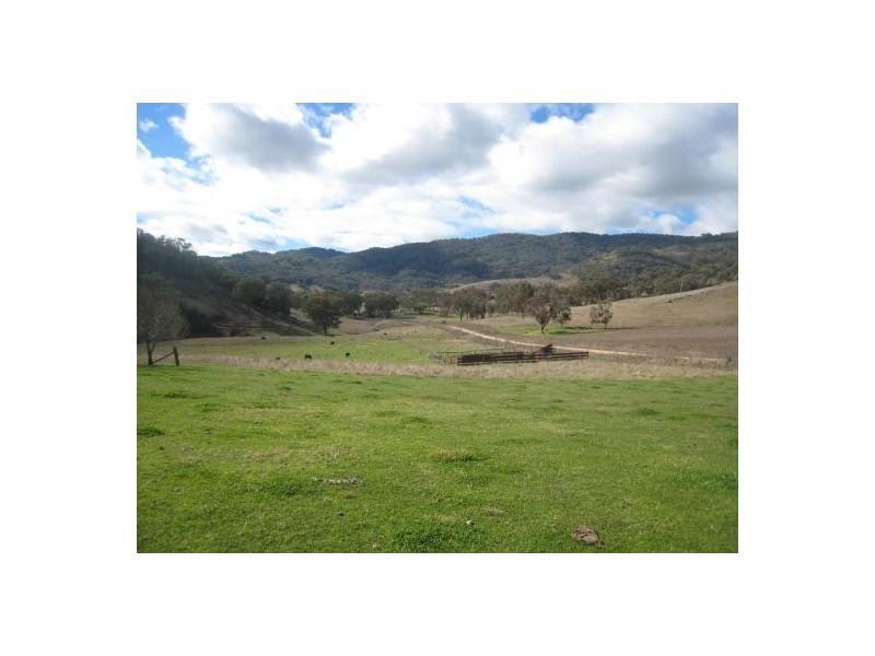 97 Woolomin Gap Road, Woolomin NSW 2340