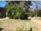 7 Bushland Avenue, East Tamworth NSW 2340
