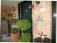 Gallery Walk, Eagle Heights QLD 4271