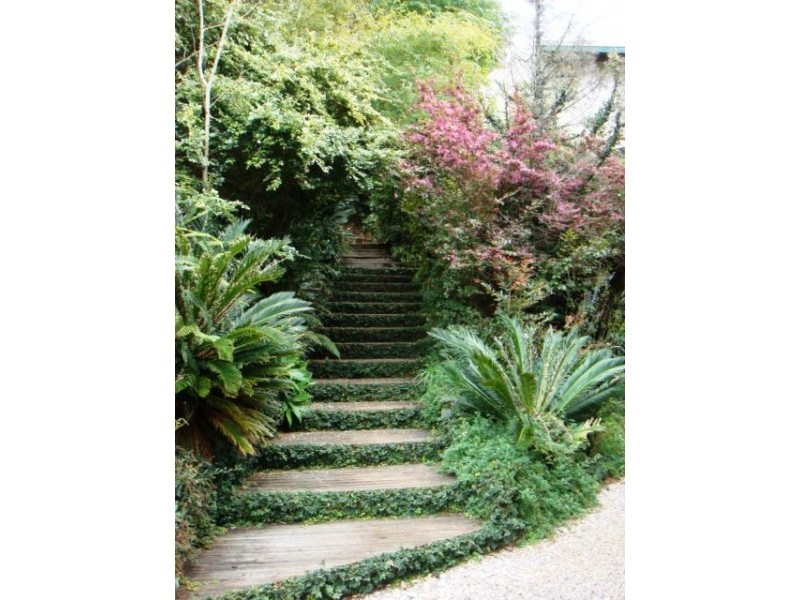 7 Areca Crt, Eagle Heights QLD 4271