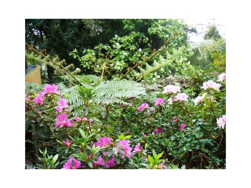 7 Areca Crt, Eagle Heights QLD 4271