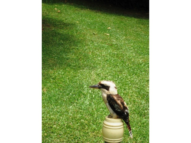 12 Kamet Ct, Eagle Heights QLD 4271