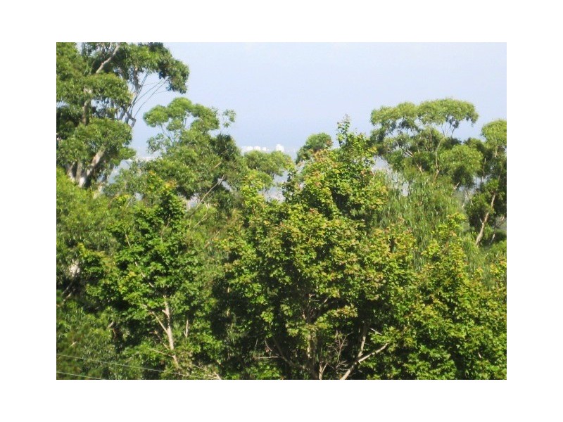 Nipa Ct, Eagle Heights QLD 4271