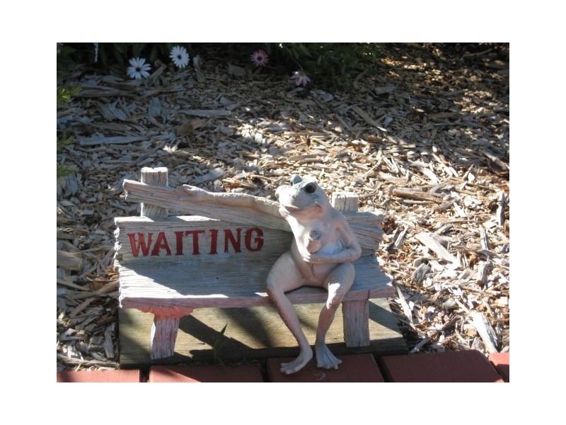 Nipa Ct, Eagle Heights QLD 4271