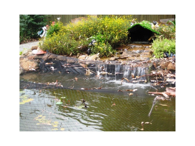 9 Morrell St, Eagle Heights QLD 4271