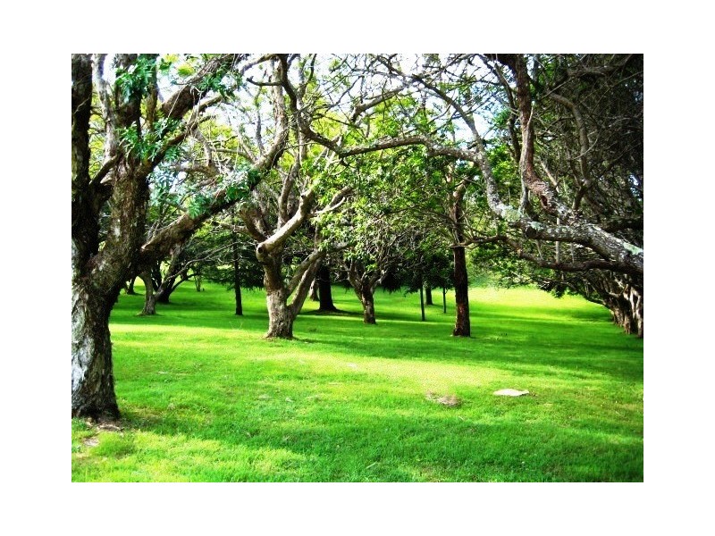 4 Golfers Cres, Eagle Heights QLD 4271