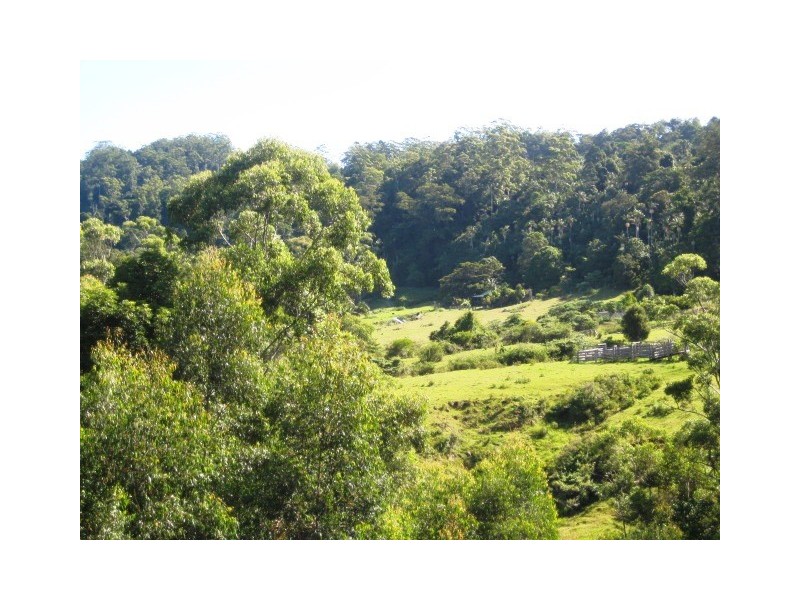 55 Justin Av, North Tamborine QLD 4272