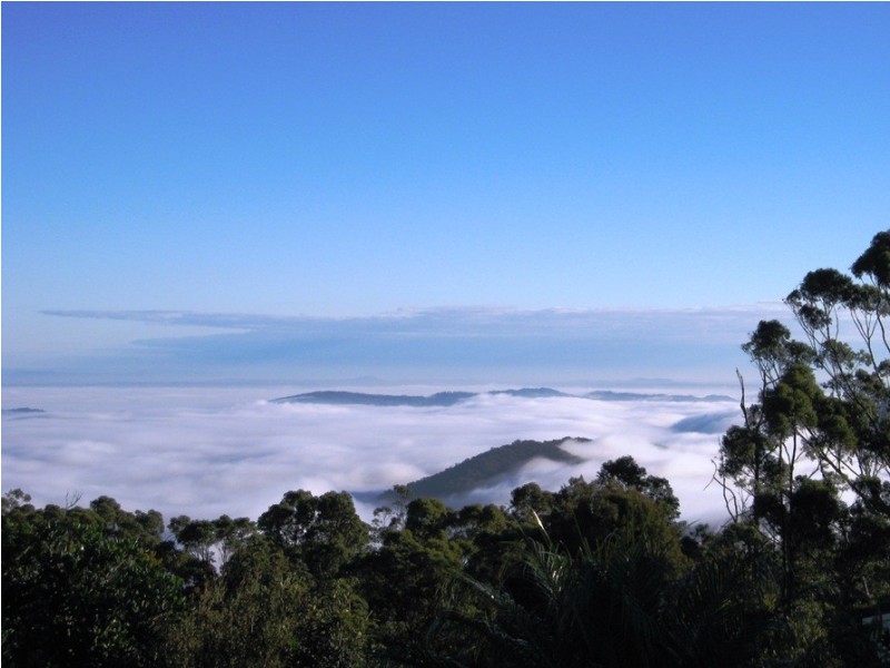 Eagle Heights QLD 4271