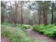 Eagle Heights QLD 4271