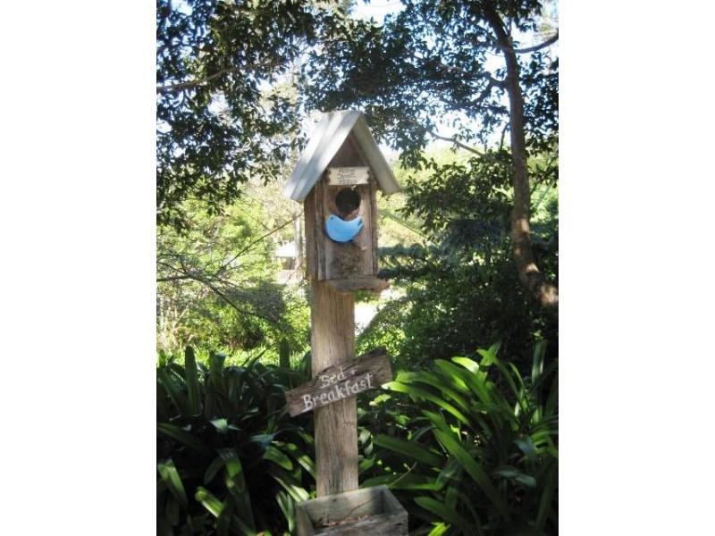 Contour Rd, Eagle Heights QLD 4271