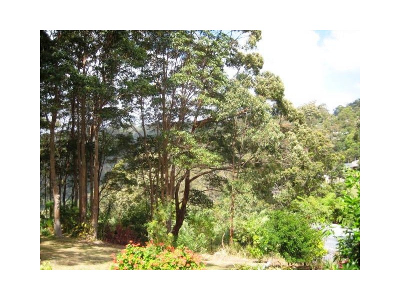 Erebus Ct, Eagle Heights QLD 4271