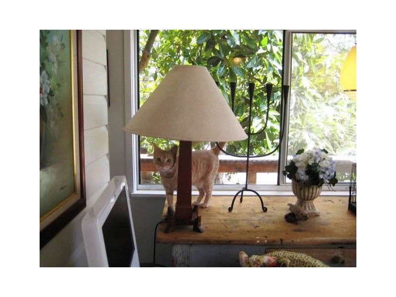 5 Huyber Lane, Eagle Heights QLD 4271