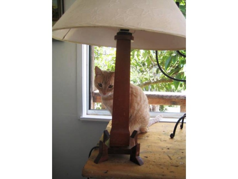 5 Huyber Lane, Eagle Heights QLD 4271