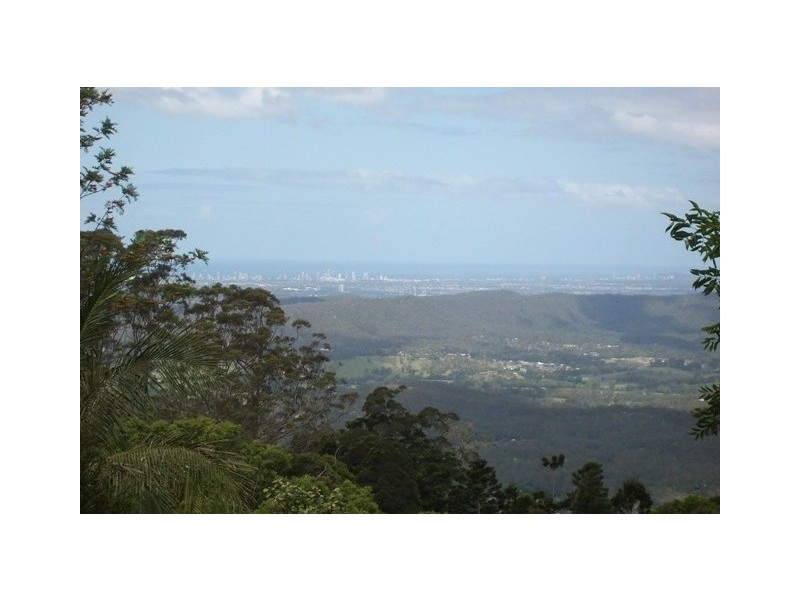 4 Palm Grove Avenue, Eagle Heights QLD 4271