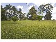 10 A Brocklesby Road, Medowie NSW 2318