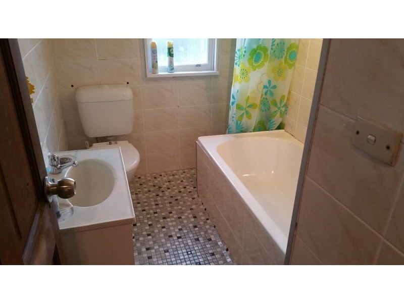 6 Idriess Crescent, Blackett NSW 2770