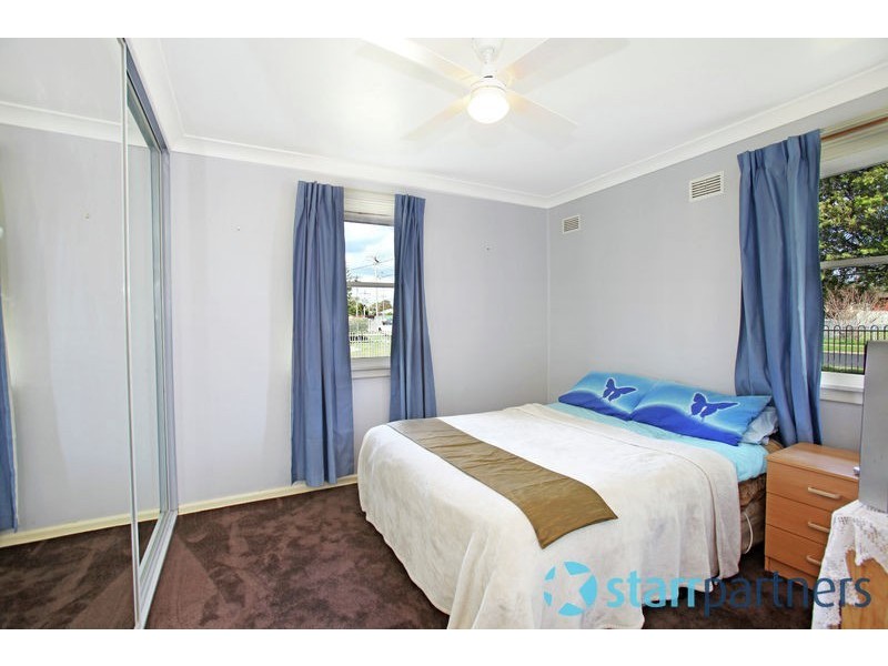 20 Riddell Crescent, Blackett NSW 2770