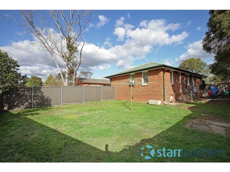 20 Riddell Crescent, Blackett NSW 2770