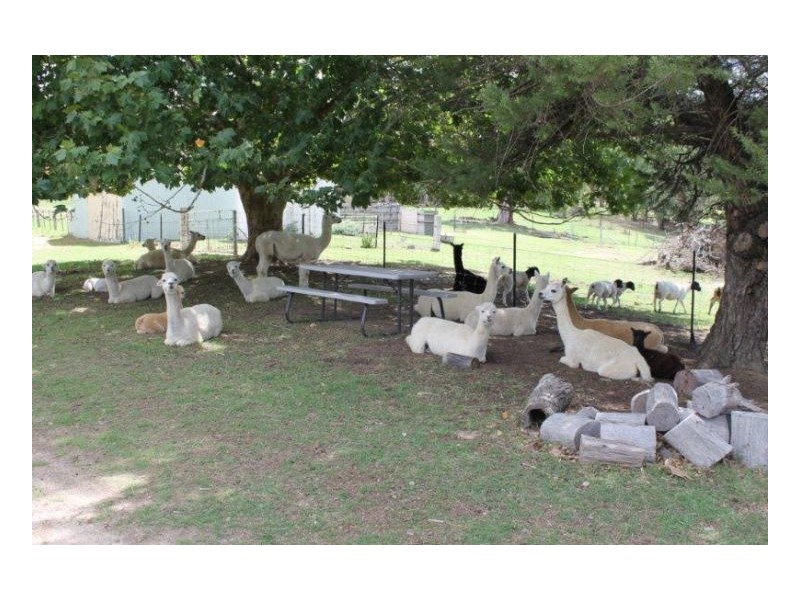 ORANA, Moonbi, Tamworth NSW 2340