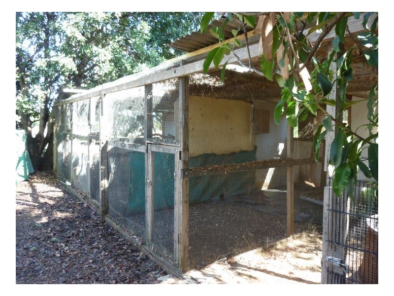 KINGSTON – Kingswood, Tamworth NSW 2340