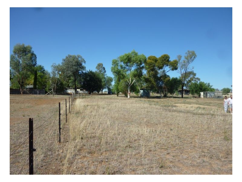 KINGSTON – Kingswood, Tamworth NSW 2340