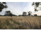 BEAUMONT, Currabubula, Tamworth NSW 2340