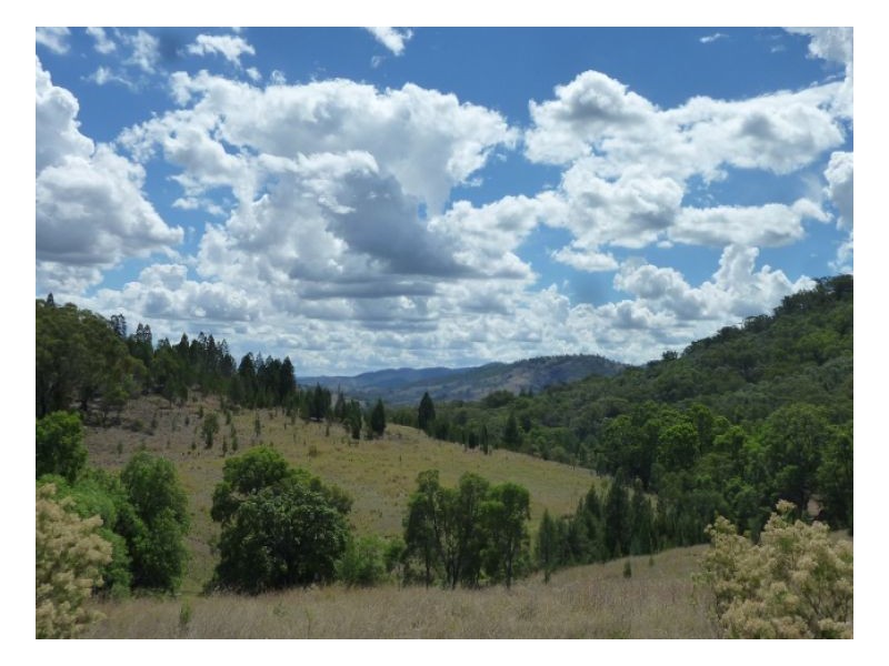 HIGH VIEW – Halls Creek, Tamworth NSW 2340