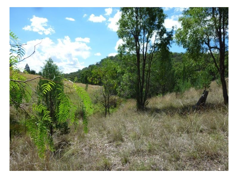 HIGH VIEW – Halls Creek, Tamworth NSW 2340