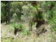 HIGH VIEW – Halls Creek, Tamworth NSW 2340