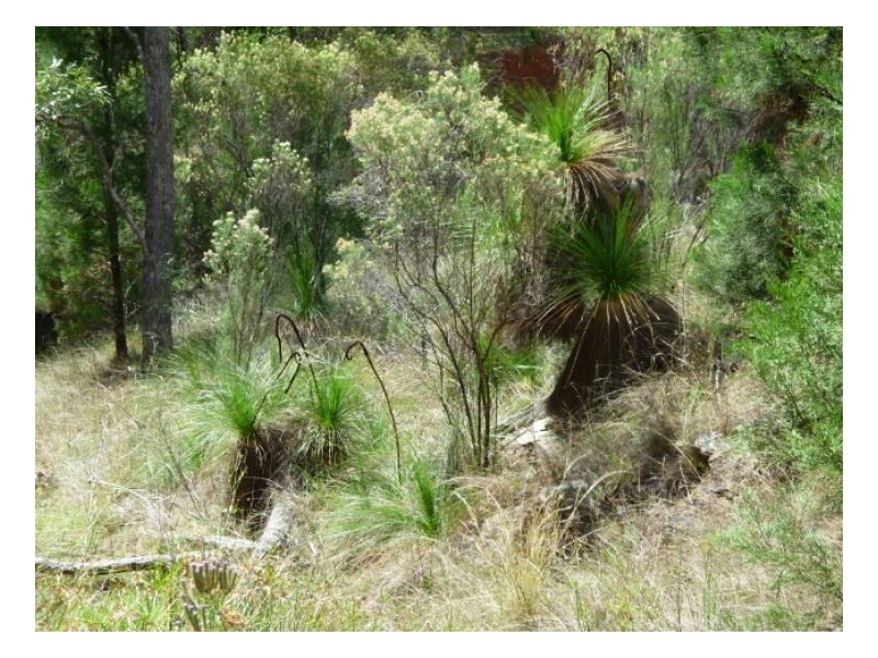 HIGH VIEW – Halls Creek, Tamworth NSW 2340