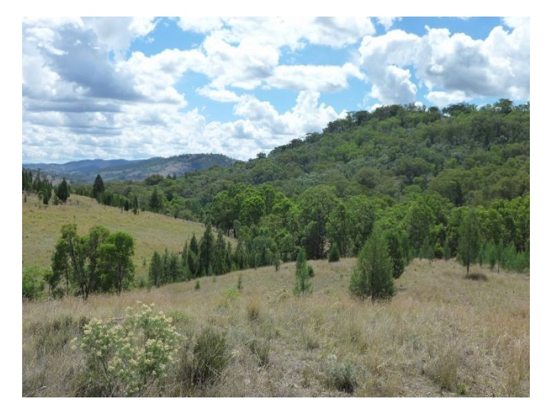 HIGH VIEW – Halls Creek, Tamworth NSW 2340