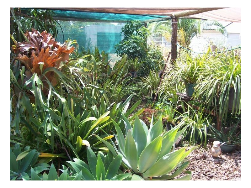 23 STEWART ST, Berrigan NSW 2712